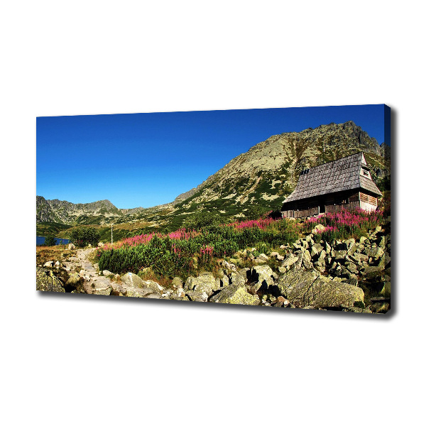 Quadro stampa su tela Capanna del pastore nella valle