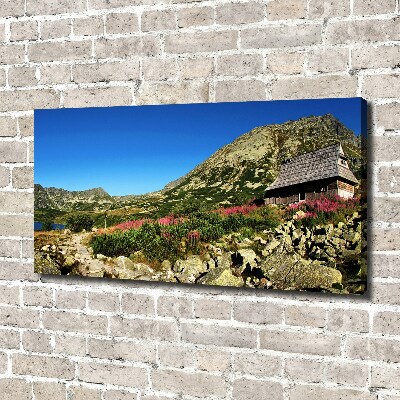 Quadro stampa su tela Capanna del pastore nella valle