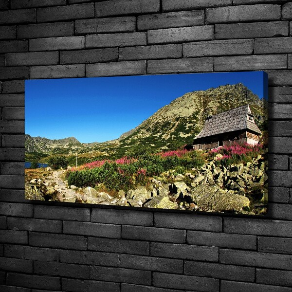 Quadro stampa su tela Capanna del pastore nella valle