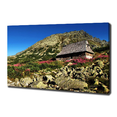 Quadro stampa su tela Capanna del pastore nella valle