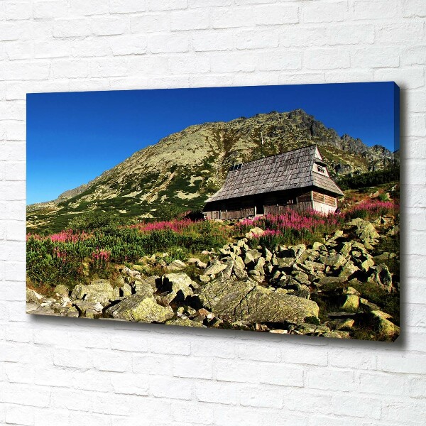 Quadro stampa su tela Capanna del pastore nella valle