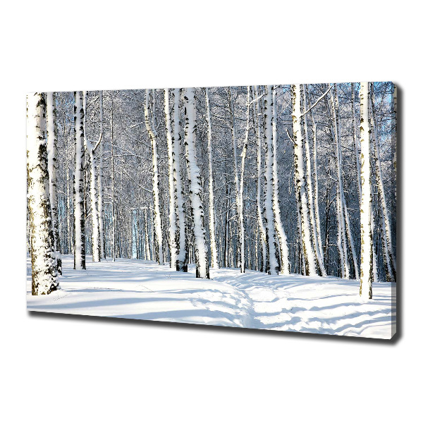 Foto quadro su tela Foresta in inverno