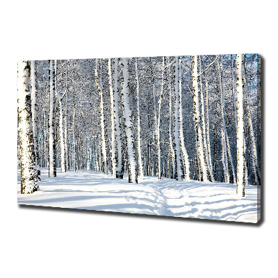 Foto quadro su tela Foresta in inverno