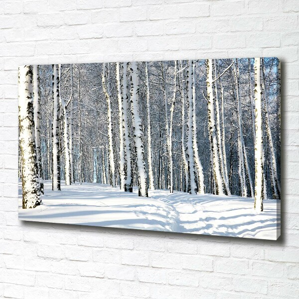 Foto quadro su tela Foresta in inverno