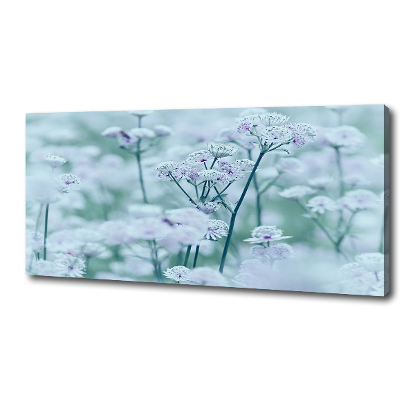 Quadro stampa su tela Mantlewort maggiore