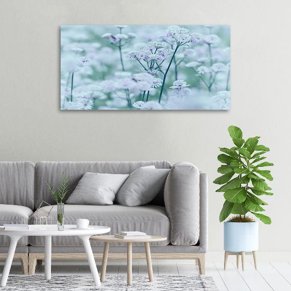 Quadro stampa su tela Mantlewort maggiore