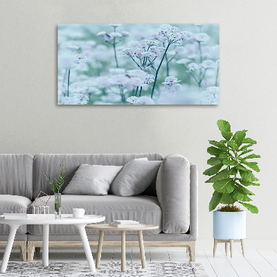 Quadro stampa su tela Mantlewort maggiore