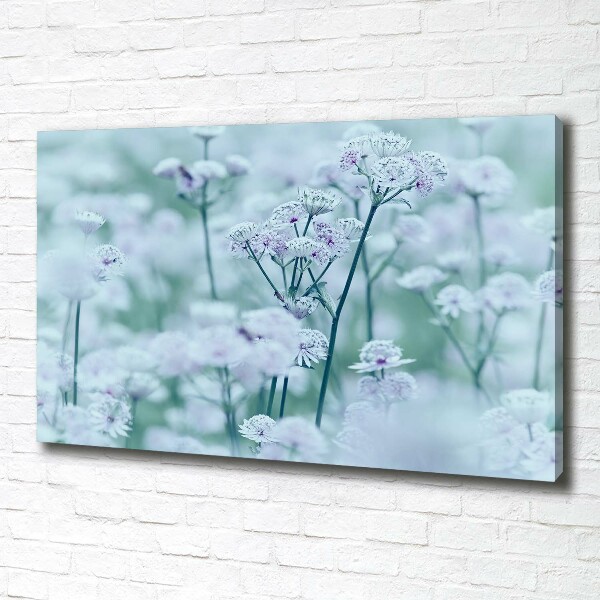 Quadro stampa su tela Mantlewort maggiore