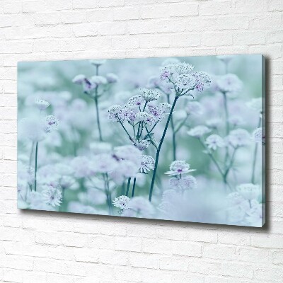 Quadro stampa su tela Mantlewort maggiore