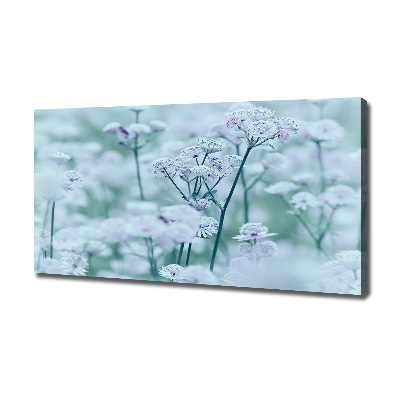 Quadro stampa su tela Mantlewort maggiore