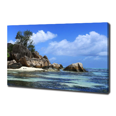 Foto quadro su tela Panorama delle Seychelles