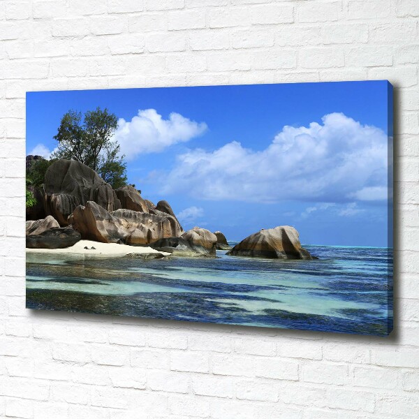 Foto quadro su tela Panorama delle Seychelles