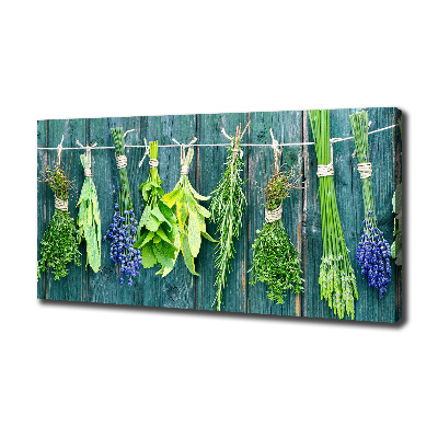Quadro stampa su tela Erbe aromatiche su un filo