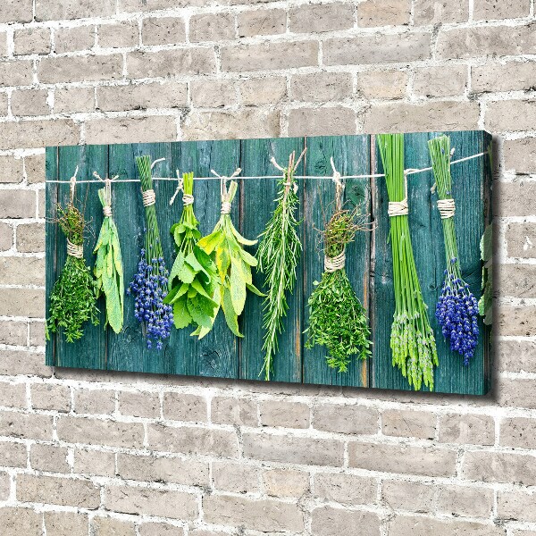 Quadro stampa su tela Erbe aromatiche su un filo