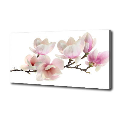 Quadro su tela Magnolia