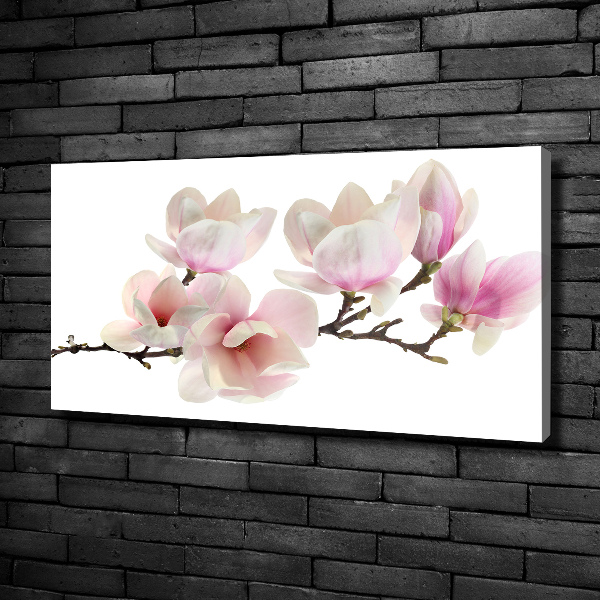 Quadro su tela Magnolia