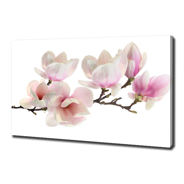 Quadro su tela Magnolia