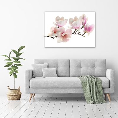 Quadro su tela Magnolia
