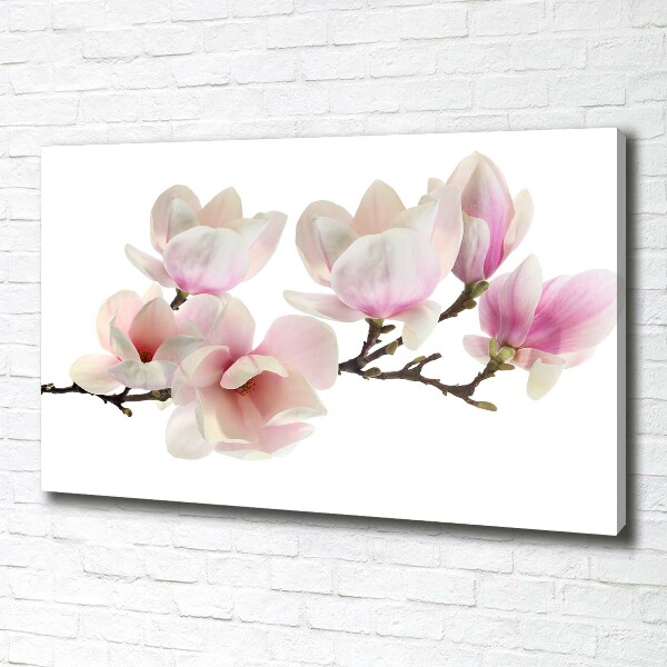 Quadro su tela Magnolia
