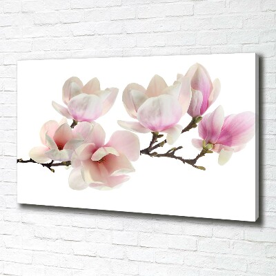 Quadro su tela Magnolia
