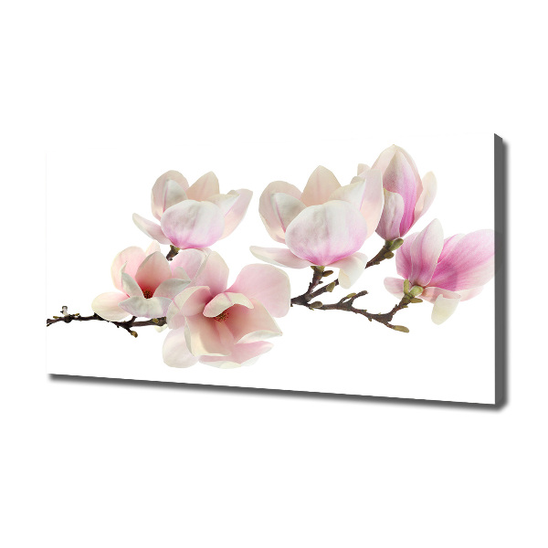 Quadro su tela Magnolia