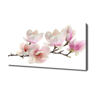 Quadro su tela Magnolia