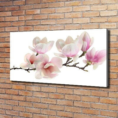 Quadro su tela Magnolia