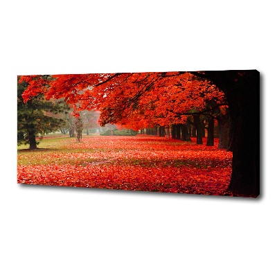 Foto quadro su tela Alberi in autunno