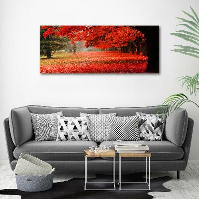 Foto quadro su tela Alberi in autunno