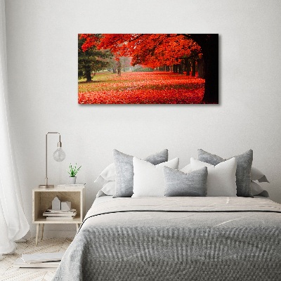 Foto quadro su tela Alberi in autunno