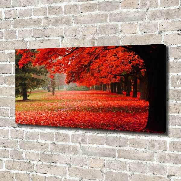 Foto quadro su tela Alberi in autunno