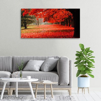 Foto quadro su tela Alberi in autunno