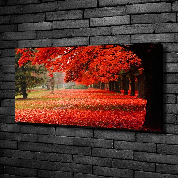 Foto quadro su tela Alberi in autunno