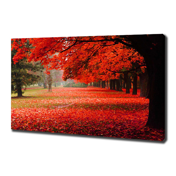 Foto quadro su tela Alberi in autunno