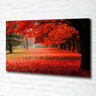 Foto quadro su tela Alberi in autunno