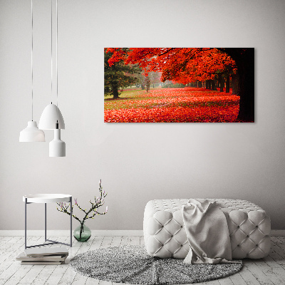 Foto quadro su tela Alberi in autunno
