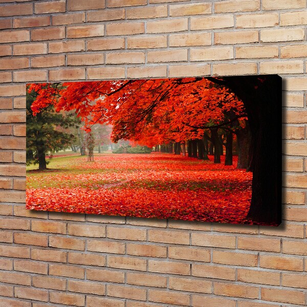 Foto quadro su tela Alberi in autunno