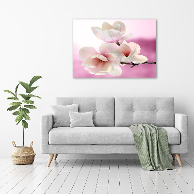 Quadro stampa su tela Magnolia