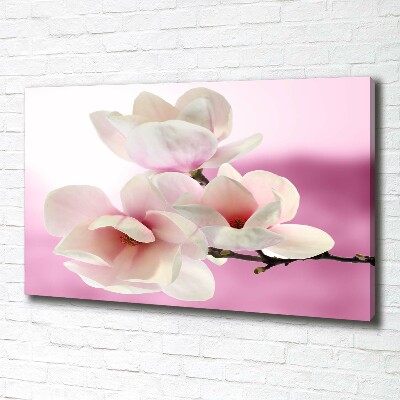 Quadro stampa su tela Magnolia