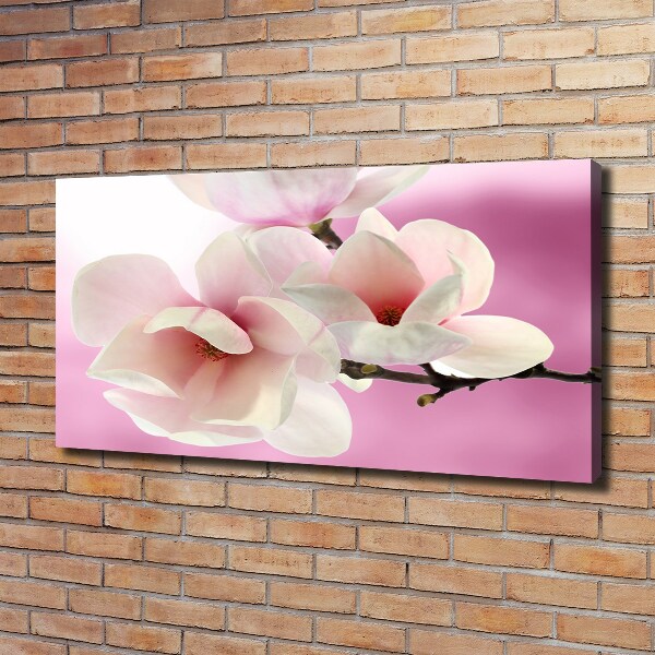 Quadro stampa su tela Magnolia