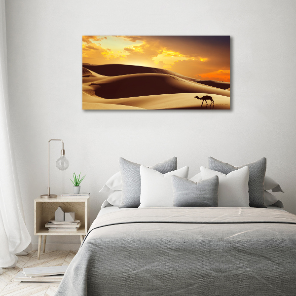 Foto quadro su tela Cammello del Sahara