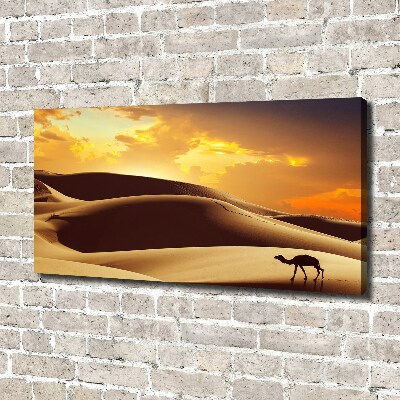 Foto quadro su tela Cammello del Sahara