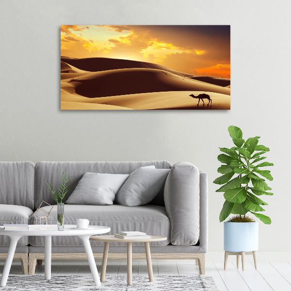 Foto quadro su tela Cammello del Sahara