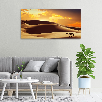 Foto quadro su tela Cammello del Sahara