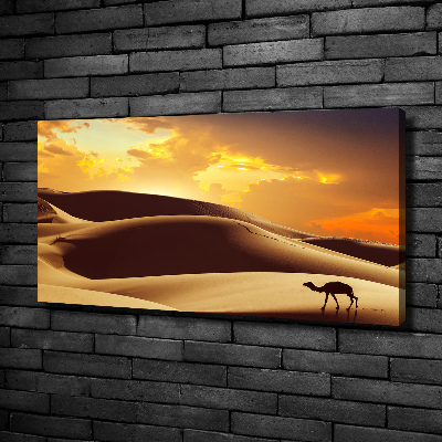 Foto quadro su tela Cammello del Sahara
