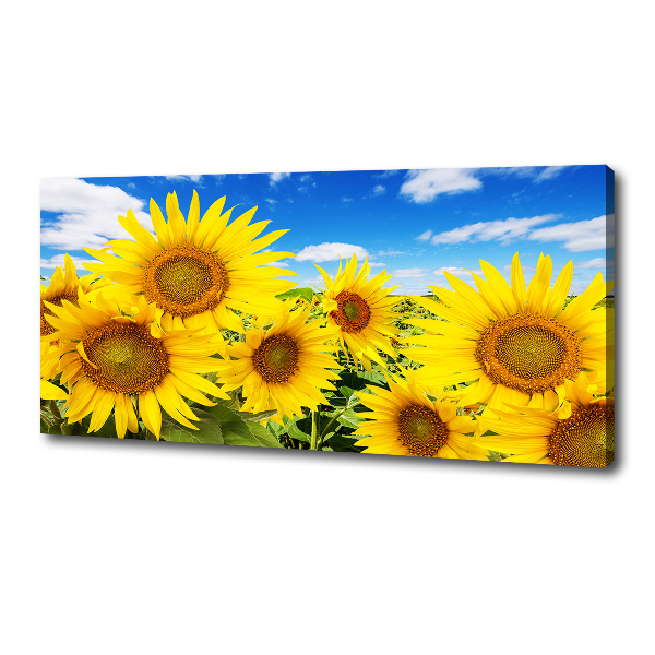 Foto quadro su tela Girasoli