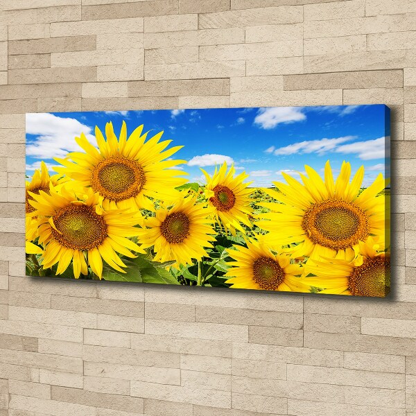 Foto quadro su tela Girasoli