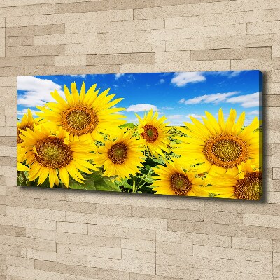 Foto quadro su tela Girasoli