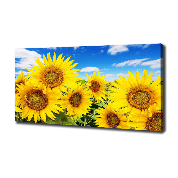 Foto quadro su tela Girasoli