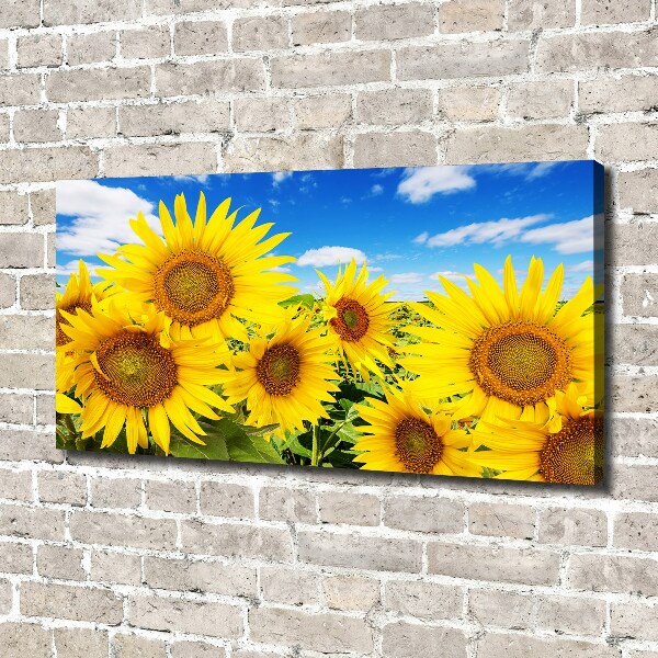 Foto quadro su tela Girasoli